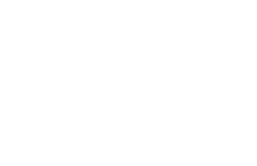 EHBS Sicherheitstechnik Logo weiss